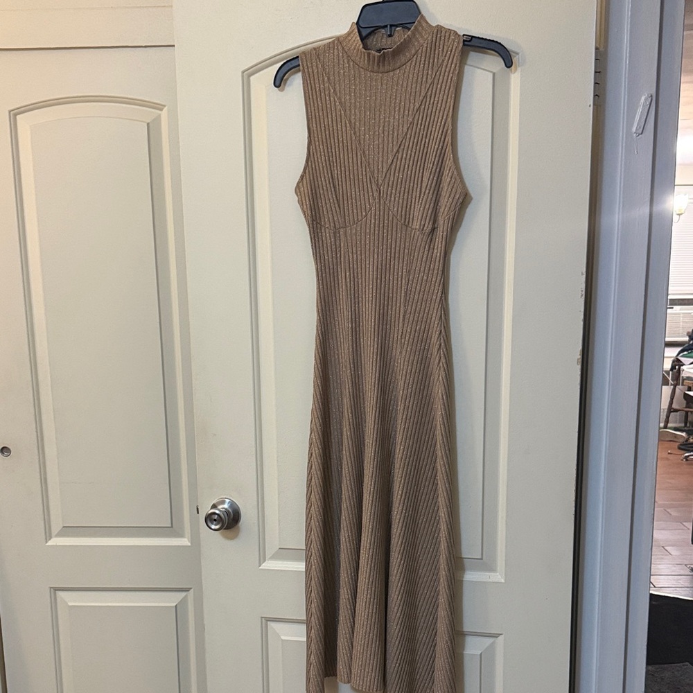 Zara Sleeveless Mock Neck Ribbed Knit Midi Dress with silver/gold  threading